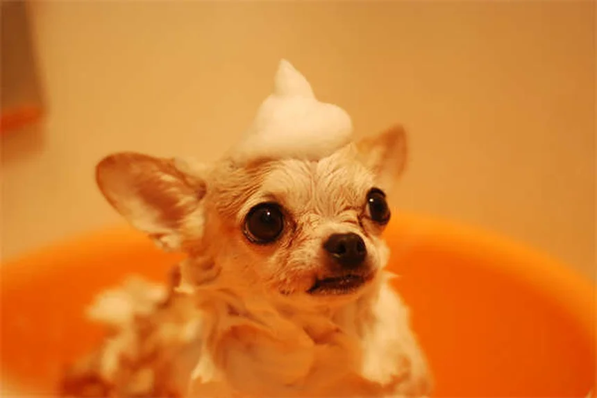 Google's Gemini AI in Cars: Revolutionizing Your Drive in 2024
